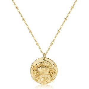 Zodiac Coin Embossed Choker Necklace Disc 12 Constellation Astrology Horoscope